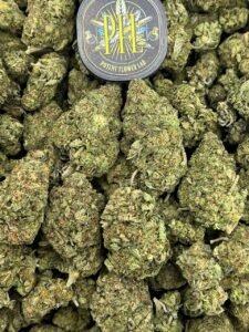 Apple Gelato by Potent Flower Lab