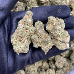 Citrus Gummy by The Collective LA