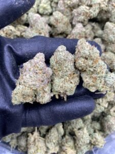 Jetson Glue by The Collective LA