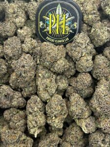 Killer Gelato by Potent Flower Lab