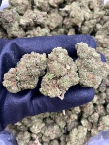 Lemon Meringue by The Collective LA