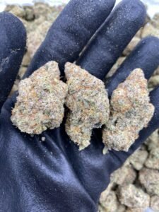 Miracle Cake by The Collective LA