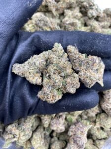 Spacelato by The Collective LA