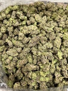 Pluto Runtz by Top Shelf Lifestyle