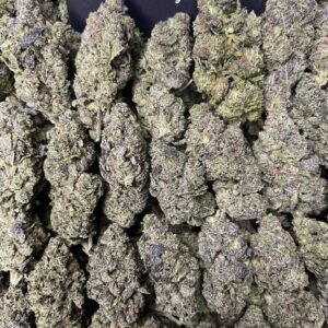 Black Runtz by PackMart LA
