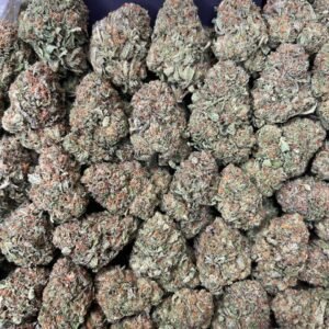 Gelato 33 by PackMart LA
