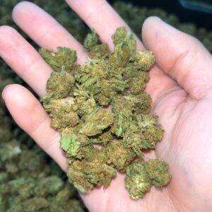 Zkittlez CBD Cannabis Strain