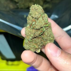 Lemon Diesel Cannabis Strain