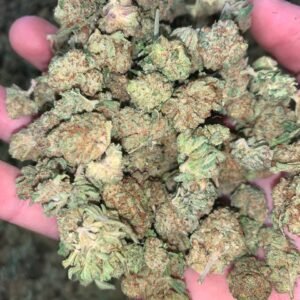 Kush Loops CBD Cannabis Strain