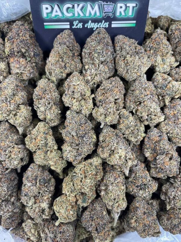 Purple Mendocino