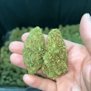 Sour Brûlée CBD cannabis Strain