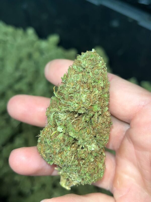 Sour Chem CBD Cannabis Strain