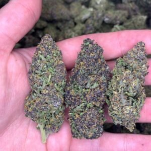 Pink Runtz Cannabis Strain