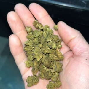 Lightning Bolt CBD Cannabis Strain