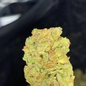 Larry Bird THCA Cannabis Strain