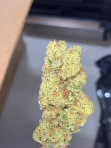 33a86a45 rainbow sherbert thca indoor 1350lb