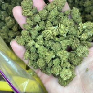 PU Gold CBD Cannabis Strain