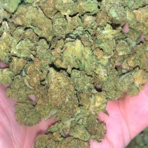 Lemon Kush CBD Cannabis Strain