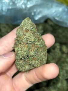 5cb52162 lemon octane 2023 flower 300lb