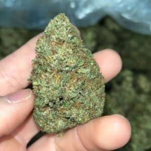 Lemon Octane CBD Cannabis Strain