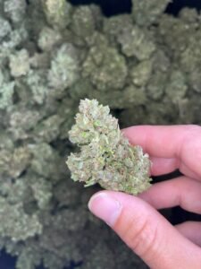 77b8b931 chemberry 2023 deps 300lb