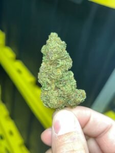 88b7782c jealousy indoor thca 1250lb