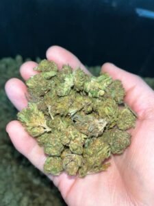 891c6264 wedding cake smalls 90lb