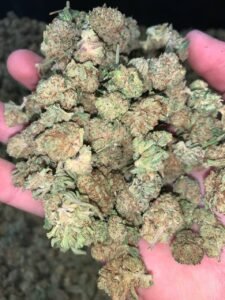 9b7a78ba kush loops indoor mids 500