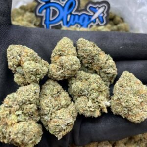 BTY OG by OT Plug