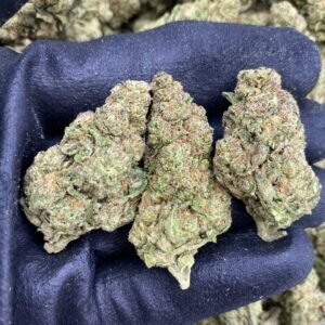 Blue Nerdz Strain by The Collective LA