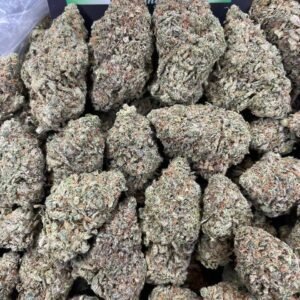 Cereal Runtz by PackMart LA