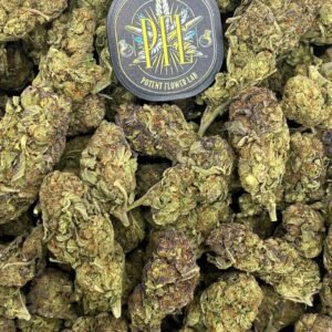 Gelato Funk by Potent Flower Lab