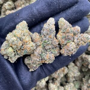 Gelato n Cream by The Collective LA
