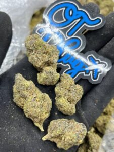 Grapestreet Kush by OT Plug 2