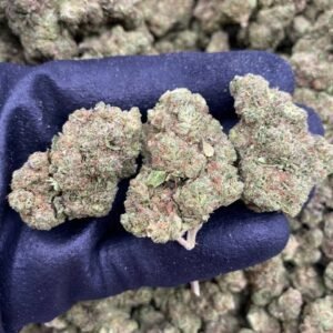 Lemon Meringue by The Collective LA