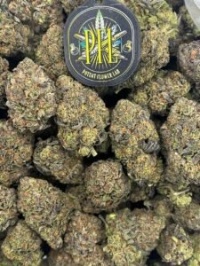 Popsicle Runtz by Potent Flower Lab