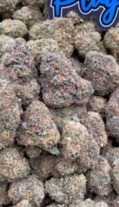 Pussy Gelato by OT Plug