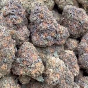 Pussy Gelato by OT Plug