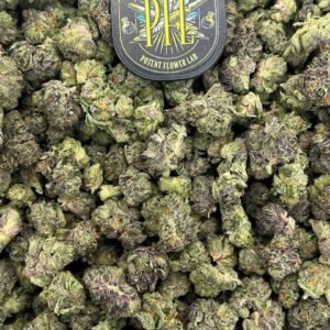 Rainbow Sherbet Strain by Potent Flower Lab