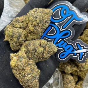 Raspberry Jelly Donut by OT Plug