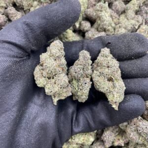 Runtz Tart by OT Plug