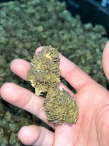 aaf86af7 bubba kush 60lb