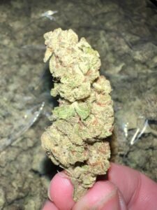 cd654067 black runtz indoor thca