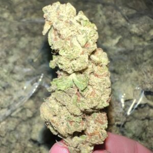 Black Runtz Indoor THCA Cannabis Strain