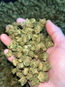 d56abd6a sour kush smalls 90lb