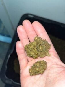 ec4ec035 silver serpent 60lb