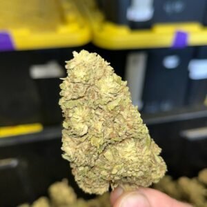 Orange Crush CBD Cannabis Strain